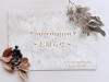 ※１２月のイベントとご予約に関して･･･※