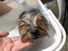 ☆Ｌａ　ＣＯＣＯＴのお友達☆