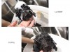 ☺Ｌａ　ＣＯＣＯＴのお友達☺