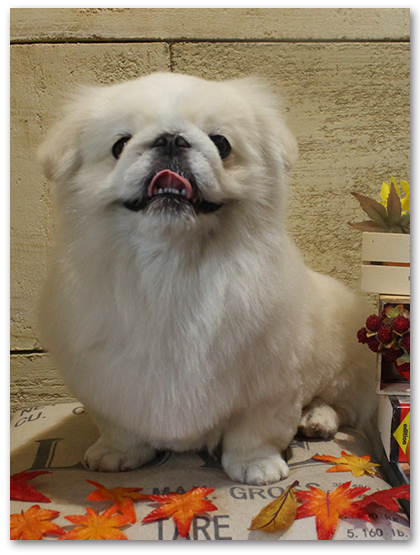 凜くん